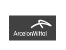 Arcelor Mittal Nippon Steel